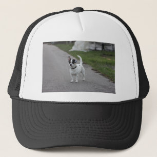 Terrier Hund sieht Niedlich aus! Truckerkappe