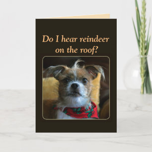 Terrier-Hundefrohe Weihnachten