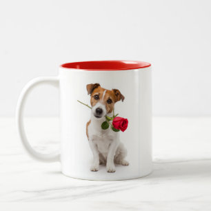 Terrier-Liebe Zweifarbige Tasse