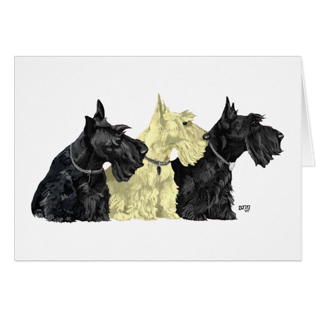 Terriers écossais noirs et roux (Devant horizontal)