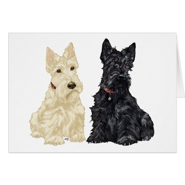 Terriers écossais roux et noirs (Devant horizontal)