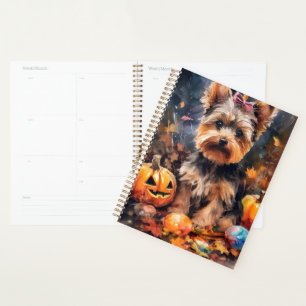 Tervueren Biewer Terrier avec citrouilles effrayan