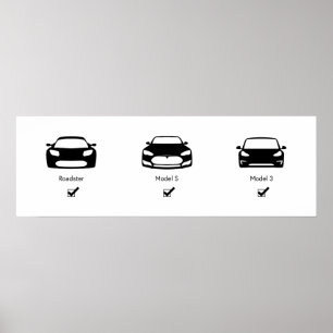 Tesla-Masterplan Matte Poster