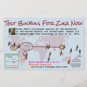 Test Bulbuls auf Zika 2-seitiges Flyer von RoseWri