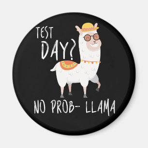 Test Day No Prob Llama Lehrer Unterricht Prüfung Magnet