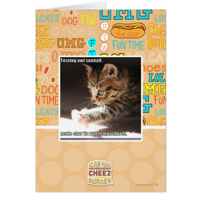 Test de owt sunbaff (Devant)