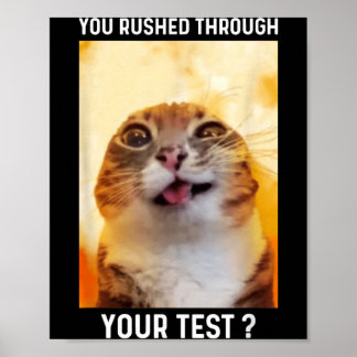 Test Hurz Durch Lustiger Testtag Lehrer Katze Poster