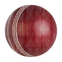 Test Match Red Cricket Ball