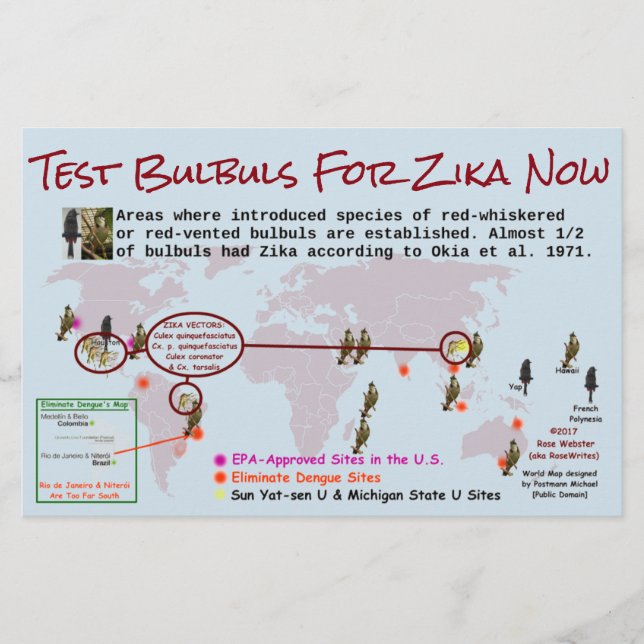 Testbullen für den zweiseitigen Zika-Flyer von Ros Flyer (Vorne)