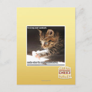 Testen von Sonnen Postkarte