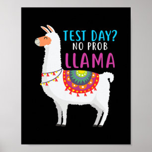 Testtag kein Problem Lama Lehrer Test Poster