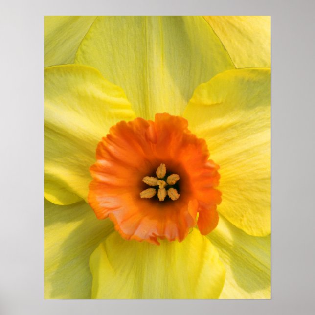 Tête à tête poster (Vorne)