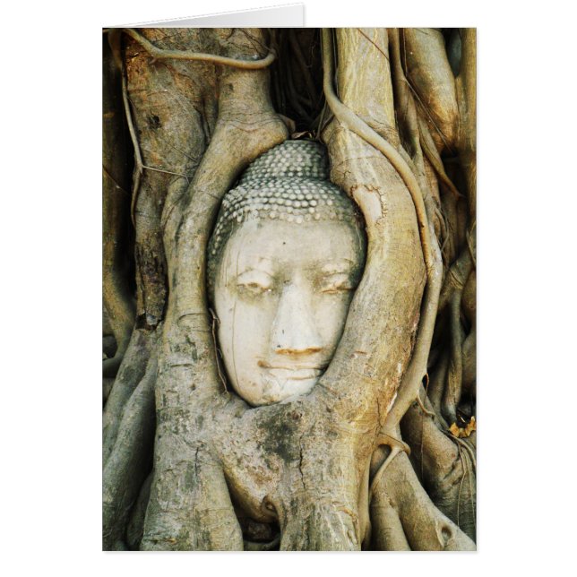 Tête de Bouddha dans le figuier. Ayutthaya, (Devant)