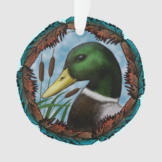 Tête de canard Mallard (devant)