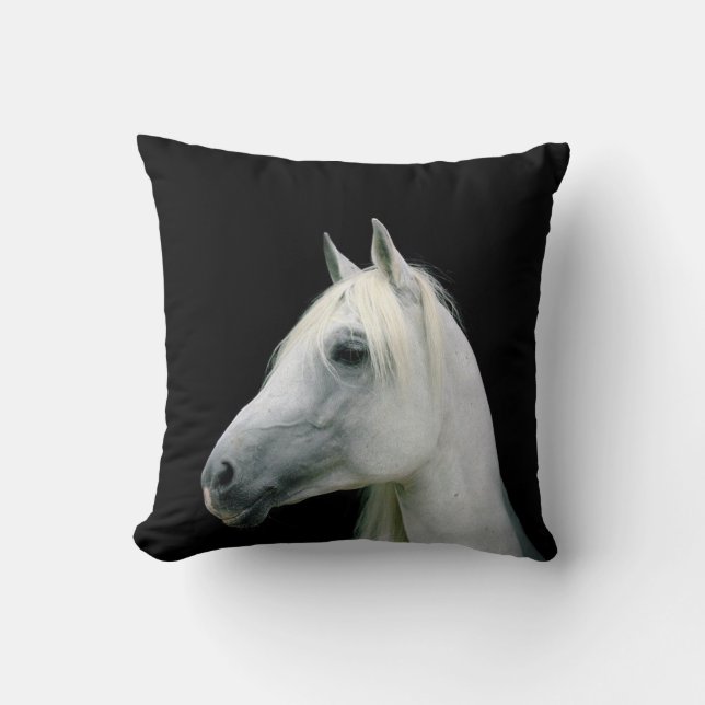 TÊTE DE CHEVAL BLANC SUR LE COUSSIN NOIR DE (Recto)