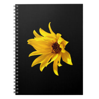 Tête de marguerite jaune Carnet spirale héliénium