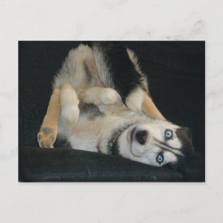 Tête sur les cartes postales Heures