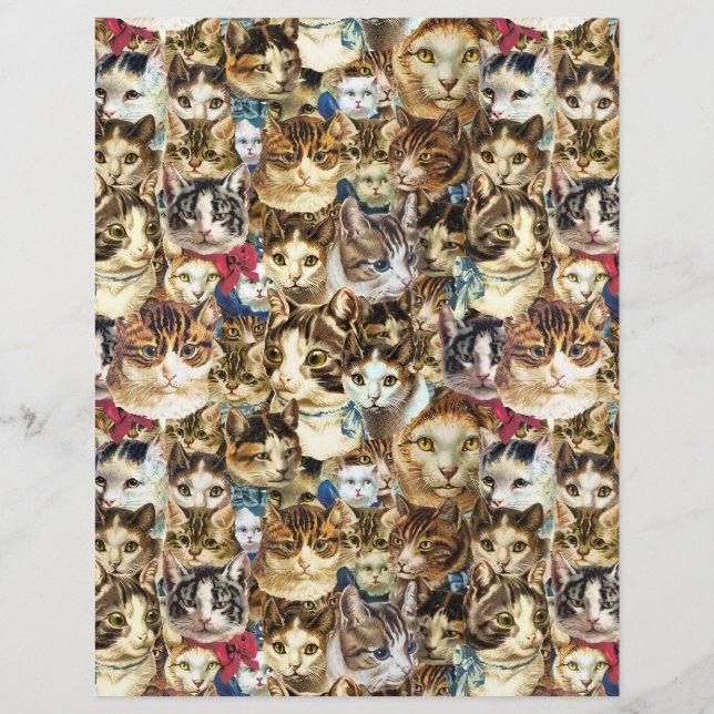 Têtes de chat papier scrapbook 8.5x11, dame de cha (Devant)