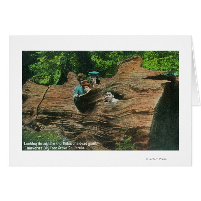 Têtes exposées dans les trous de noeud de séquoia  (Devant horizontal)