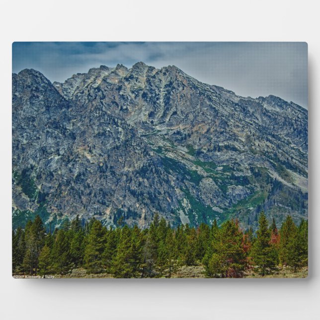 Teton NP 6901 Fotoplatte (Vorderseite)