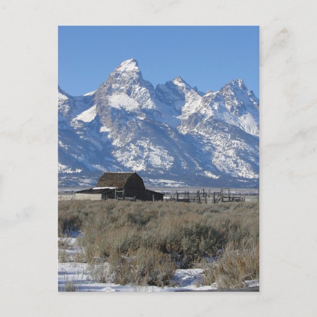 Teton Ranch Postcard Postkarte (Vorderseite)
