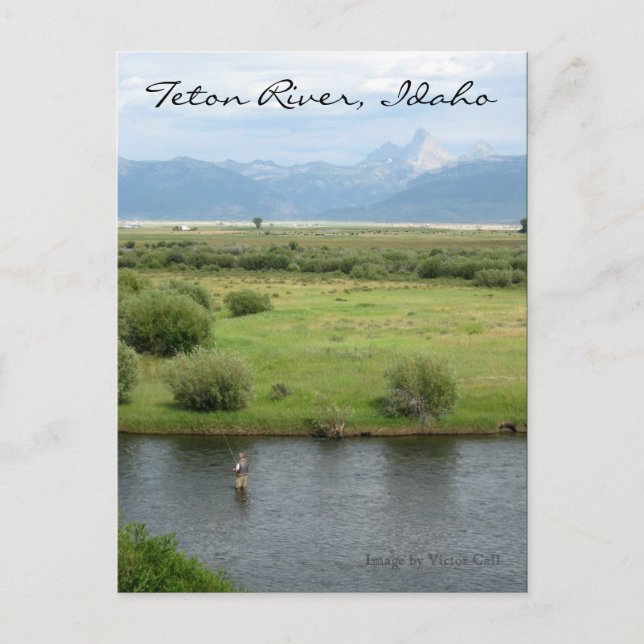 Teton River, Idaho Fisherman Postcard Postkarte (Vorderseite)