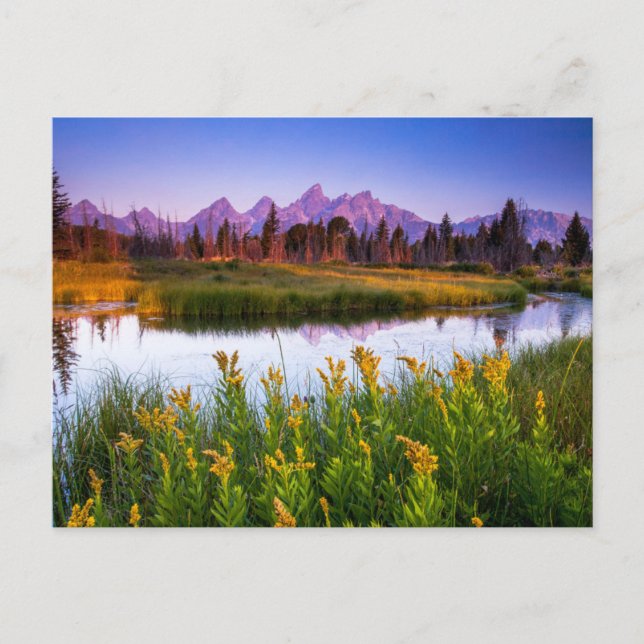 Teton Sunrise Postkarte (Vorderseite)