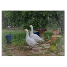 Teufel duckt hackendes Glasbrett