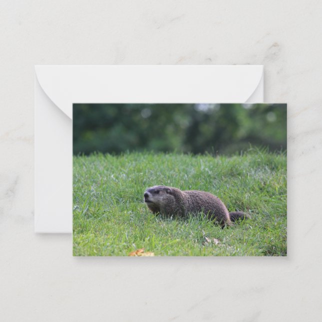 Teufel's Hole Digger Mitteilungskarte (Vorderseite)