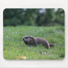 Teufel's Hole Digger Mousepad