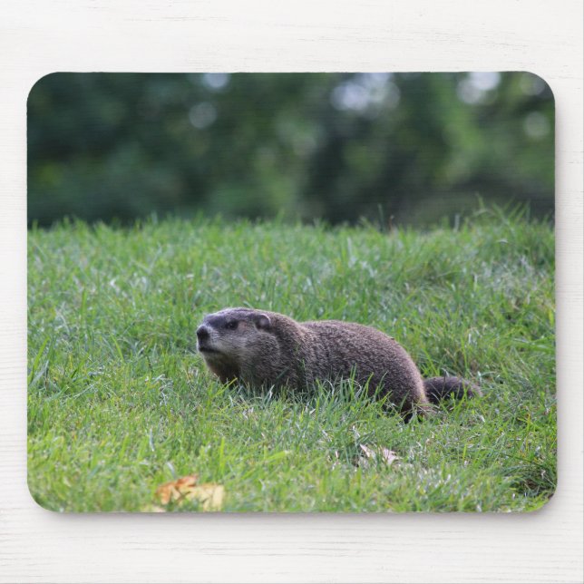 Teufel's Hole Digger Mousepad (Vorne)