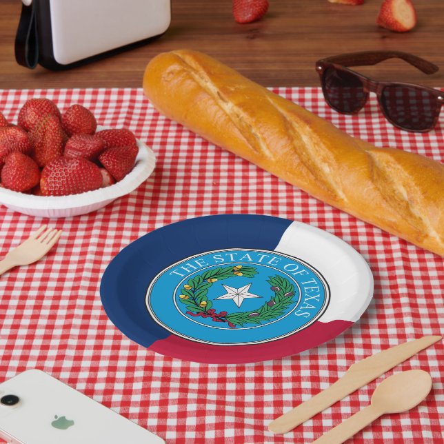Texan Flag & Seal, Texas Pappteller (Picknick)