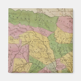 Texas 3 magnet