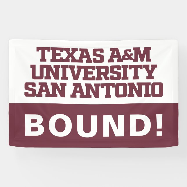 Texas A&M University - San Antonio Banner (Horizontal)