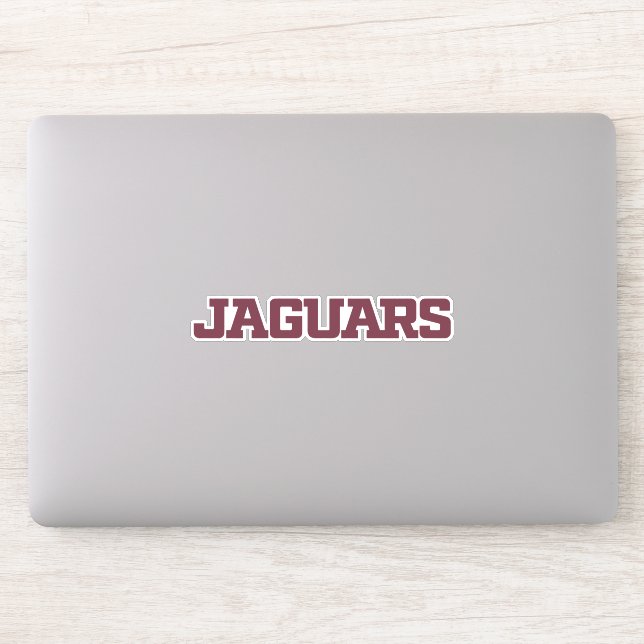 Texas A&M University - San Antonio Jaguars Aufkleber (Computer)