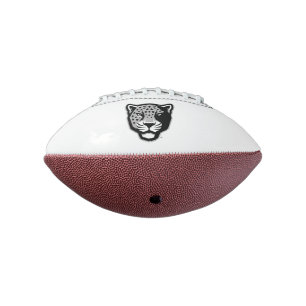 Texas A&M University - San Antonio   Jaguars Football