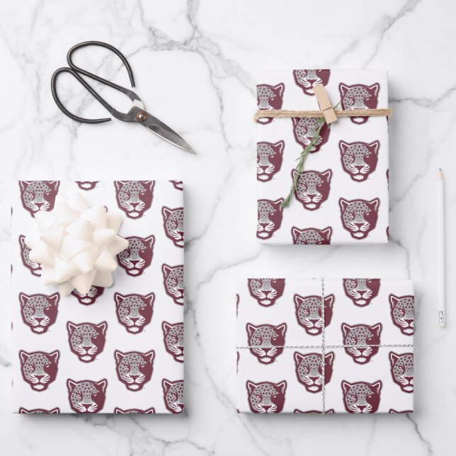 Texas A&M University - San Antonio | Jaguars Geschenkpapier Set (Vorderseite)