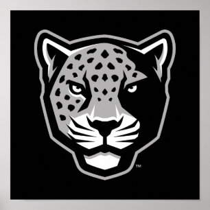 Texas A&M University - San Antonio   Jaguars Poster