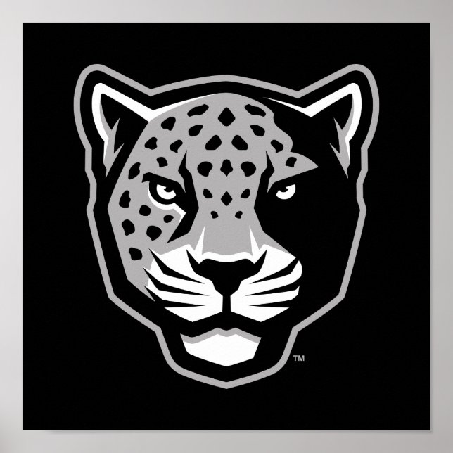 Texas A&M University - San Antonio | Jaguars Poster (Vorne)