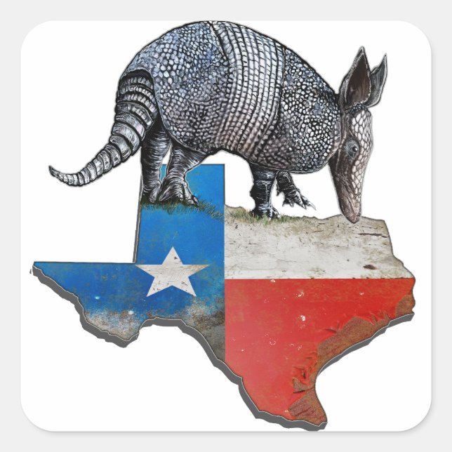 Texas Armadillo Quadratischer Aufkleber (Vorderseite)