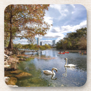 Texas Barton Creek / Ladybird Lake Swans Getränkeuntersetzer