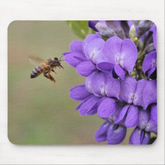 Texas-Berglorbeer-Biene im Flug Mousepad