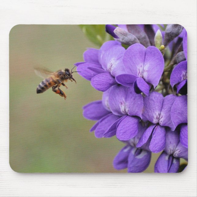 Texas-Berglorbeer-Biene im Flug Mousepad (Vorne)