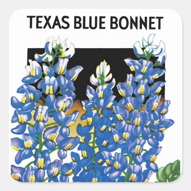 Texas Blue Bonnet Étiquette de paquets de semences (Devant)
