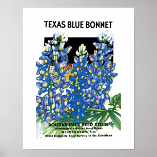 Texas Blue Bonnet Saatpacketikett Poster