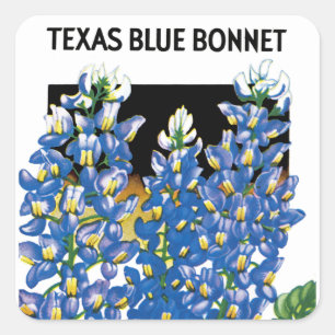 Texas Blue Bonnet Samenpackungsetikett Quadratischer Aufkleber