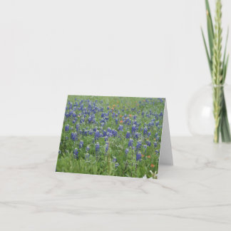 Texas Blue Bonnets Mitteilungskarten