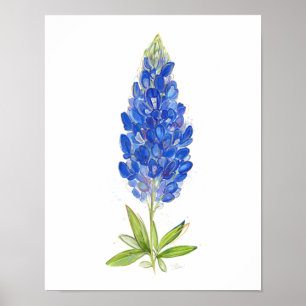 Texas Bluebonnet Art & Weise Poster