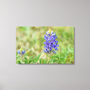 Texas Bluebonnet Blume Art Nah Up Leinwanddruck