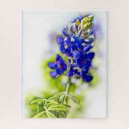 Texas Bluebonnet Blume auf Weiß mit Grafik